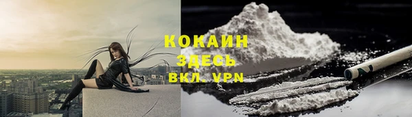 ешки Алексин