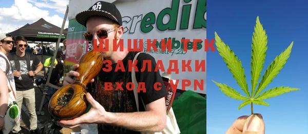 ешки Алексин