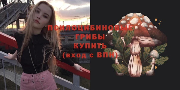 ешки Алексин